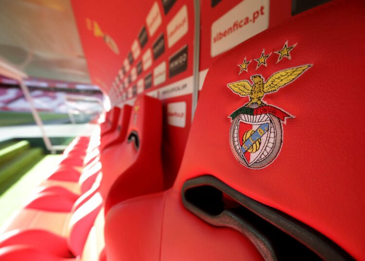 FC Dallas y Benfica anuncian acuerdo de asociación juvenil