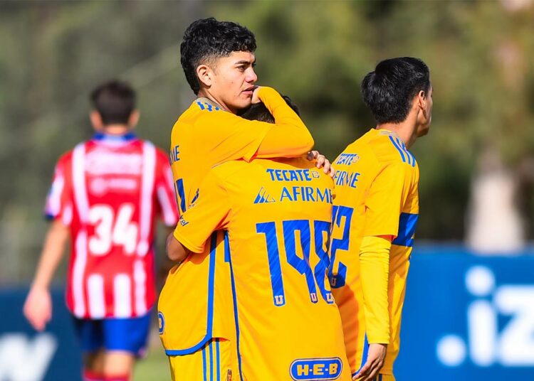 Tigres presiona juveniles para firmar contrato