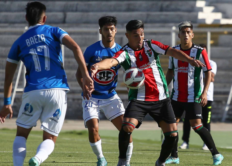 Palestino vs Huachipato: cuándo y dónde ver online el partido pendiente por el Torneo - Te Caché!