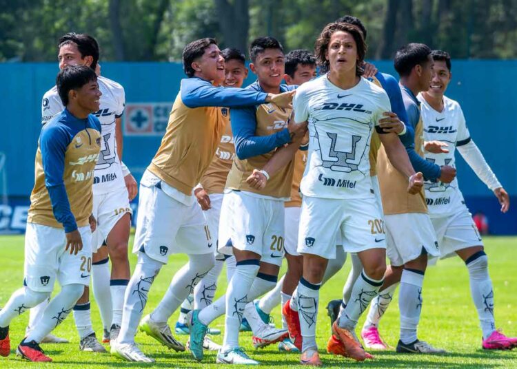 Cantera de Pumas empuja por oportunidad en el Apertura 2024