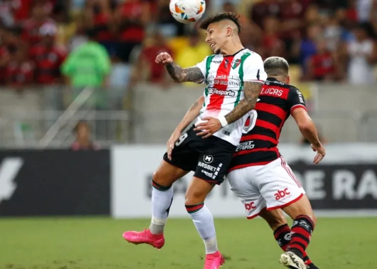 Palestino vs. Flamengo: cuándo y dónde ver online el partido por Copa Libertadores - Te Caché!