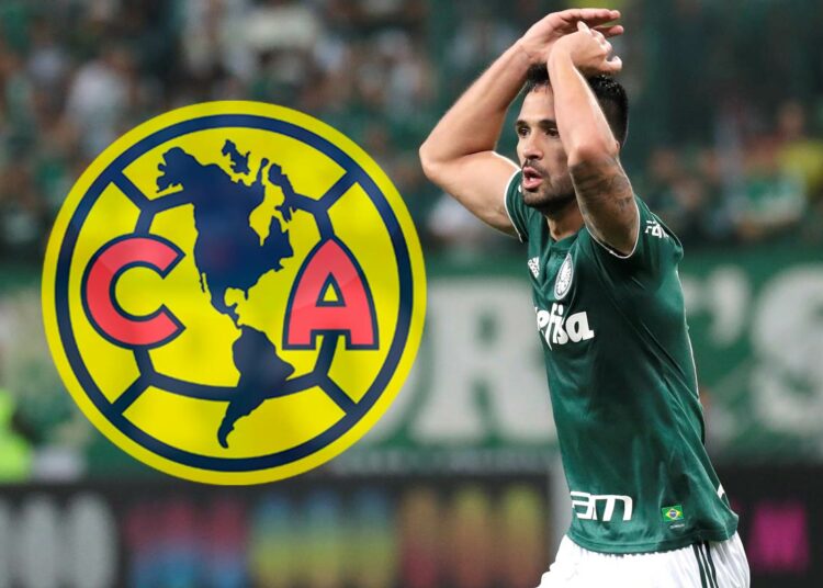 América oferta por Luan Garcia Teixeira