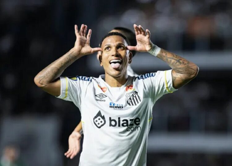 Novorizontino x Santos EN VIVO • Brasileirão Serie B