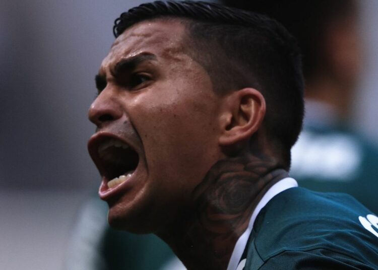 Palmeiras vio como un buen negocio la llegada de Dudu al Cruzeiro