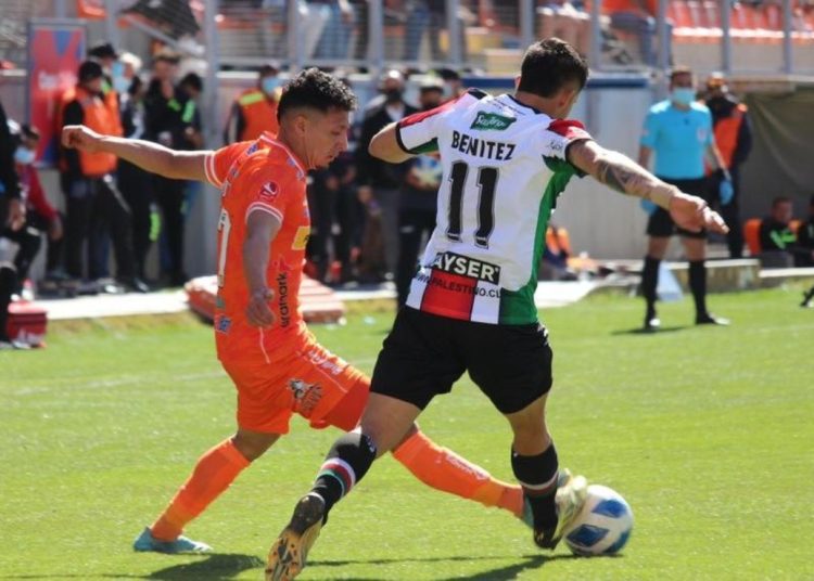 palestino copa chile