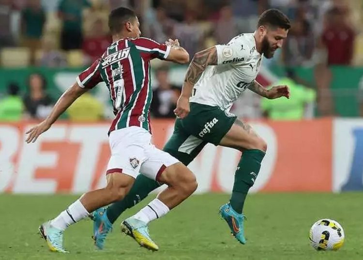 Fluminense x Palmeiras EN VIVO • Brasileirão Serie A