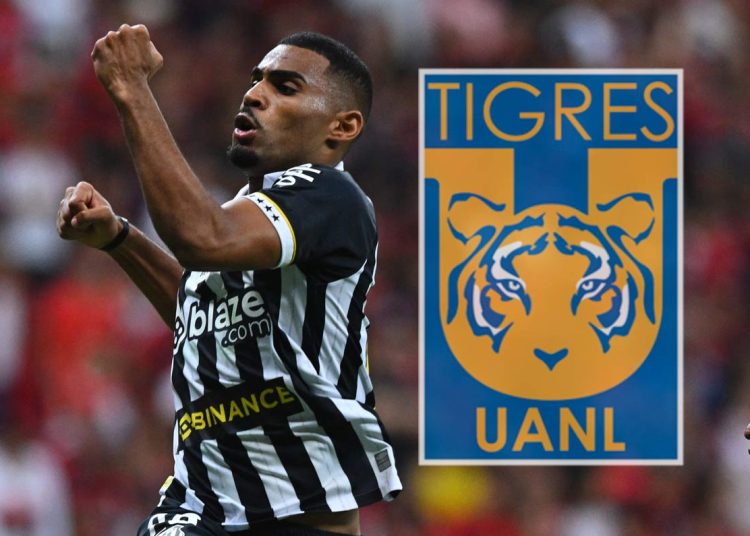 Tigres buscará el fichaje de Joaquim Pereira