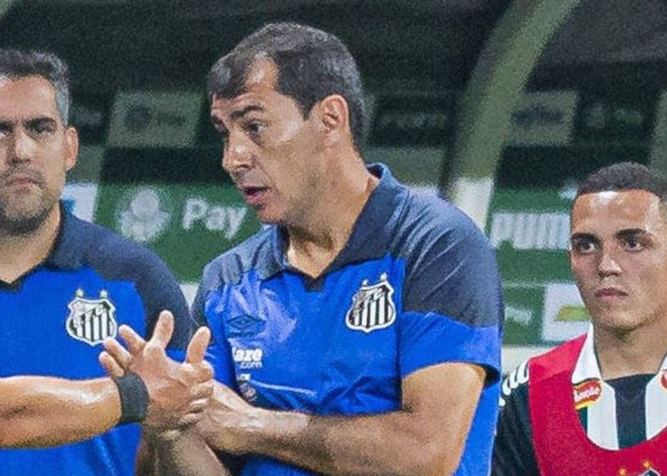 Carille define el regreso de Pituca y dos novedades más en Santos