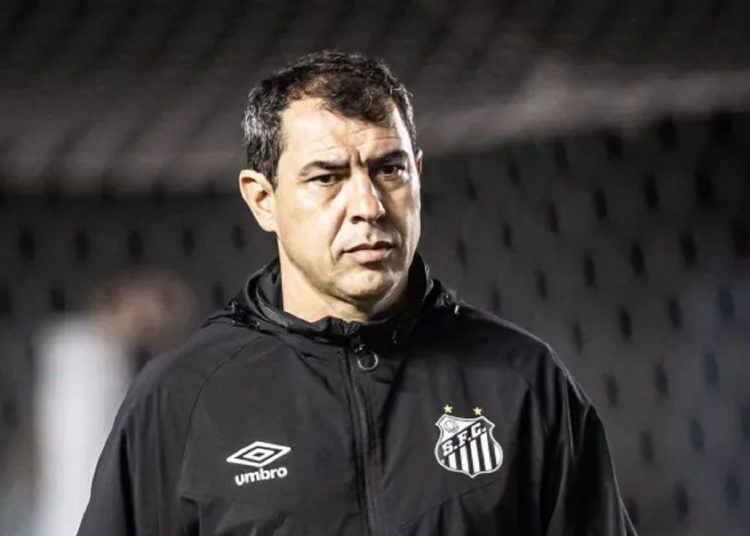 El partido contra el Sport es fundamental para que Fábio Carille aísle al Santos en el liderato del Brasileirão Série B