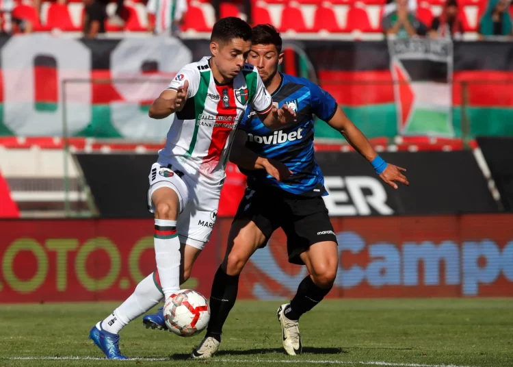 Huachipato vs. Palestino: cuándo y dónde ver en vivo el partido por la fecha 23° - Te Caché!