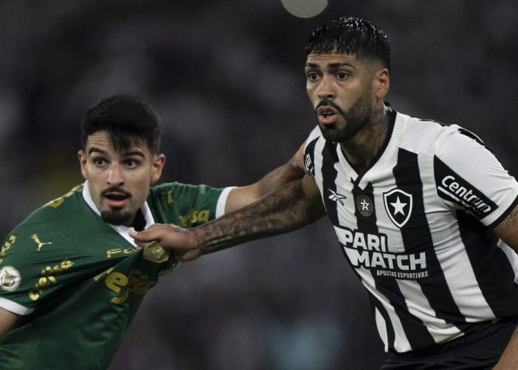 Palmeiras x Botafogo EN VIVO - 0 x 2 - Segundo Tiempo