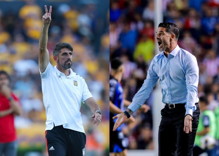 Veljko Paunovic puede correr a Fernando Gago de Chivas