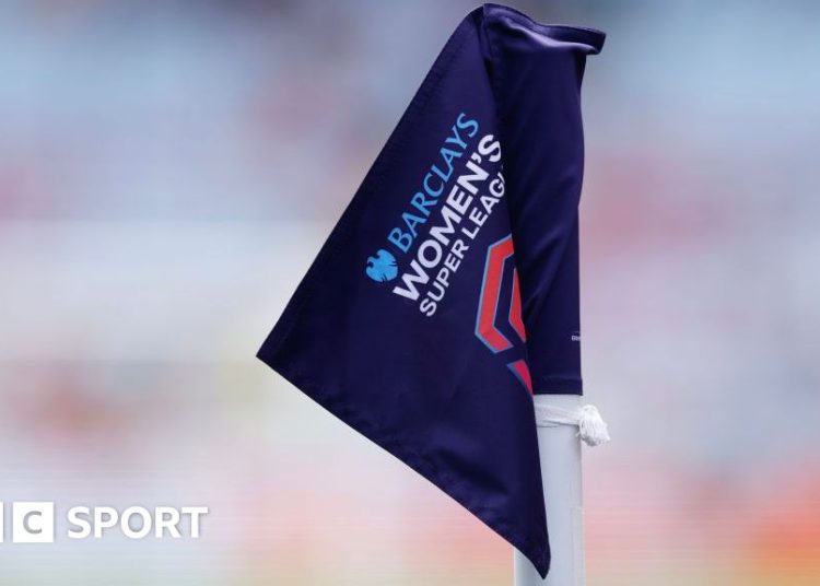 Women's Super League flag